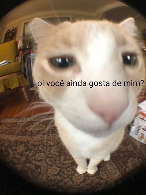 Calvo 😔 tweet media