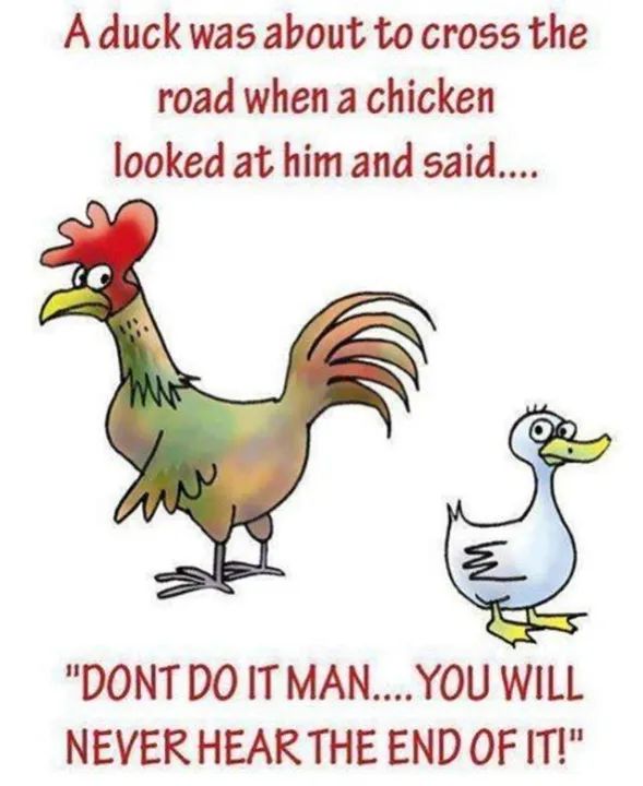 NZAllison's tweet image. #Humour