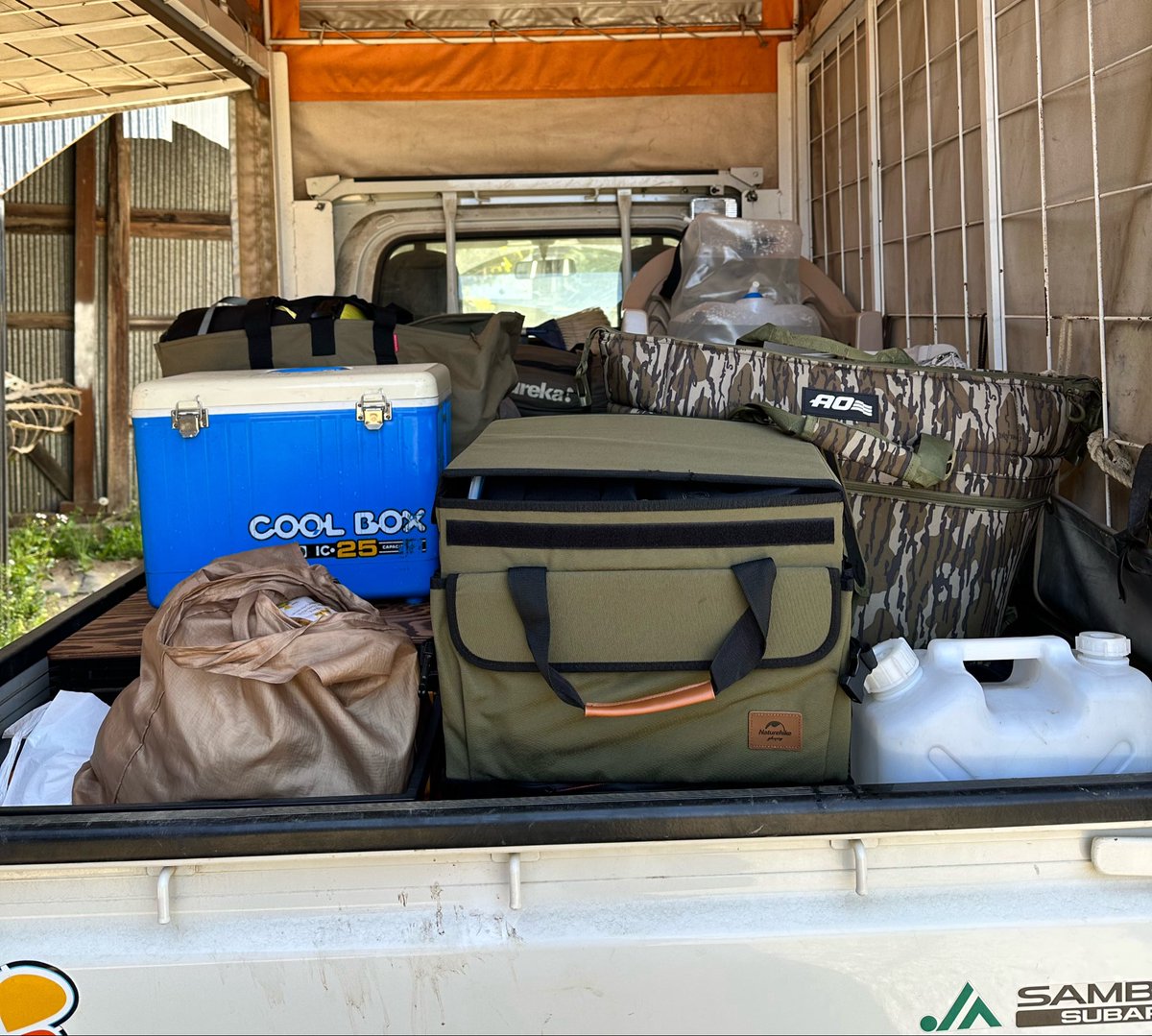 イエネコ🐈 tweet media