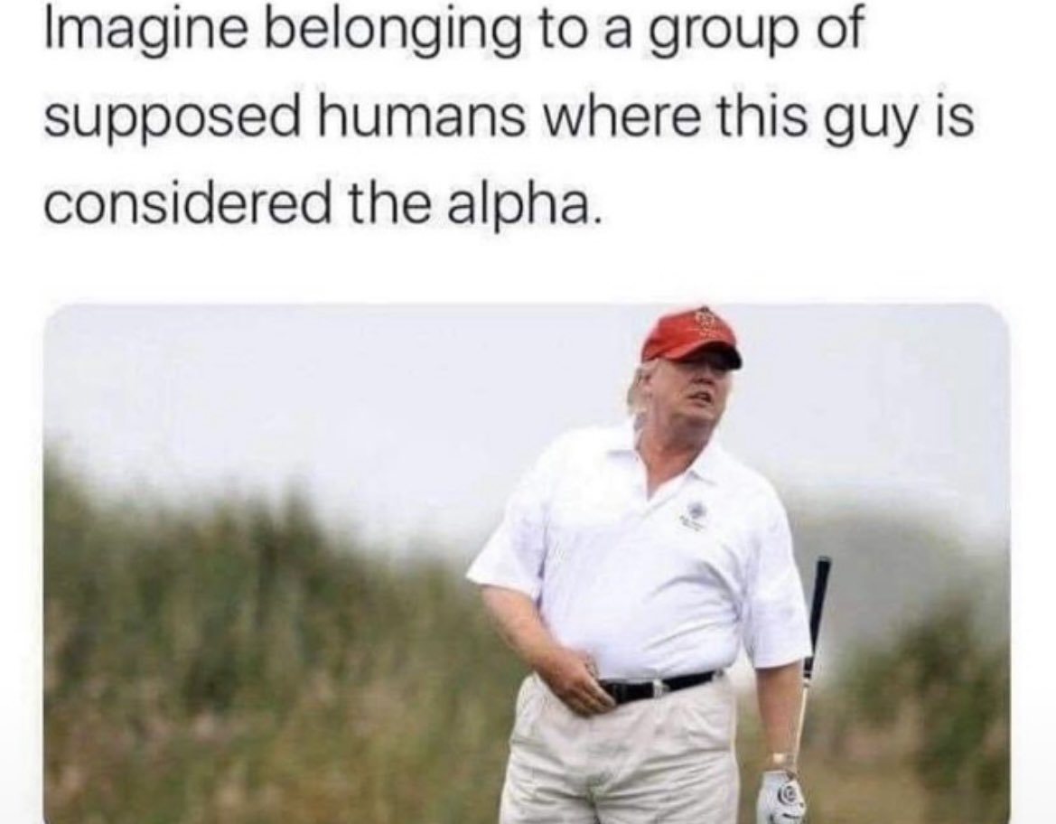 Dolamite tweet media