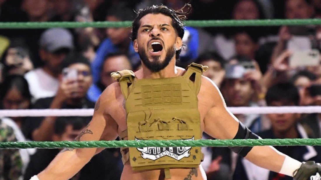 LuigiWrestling tweet media