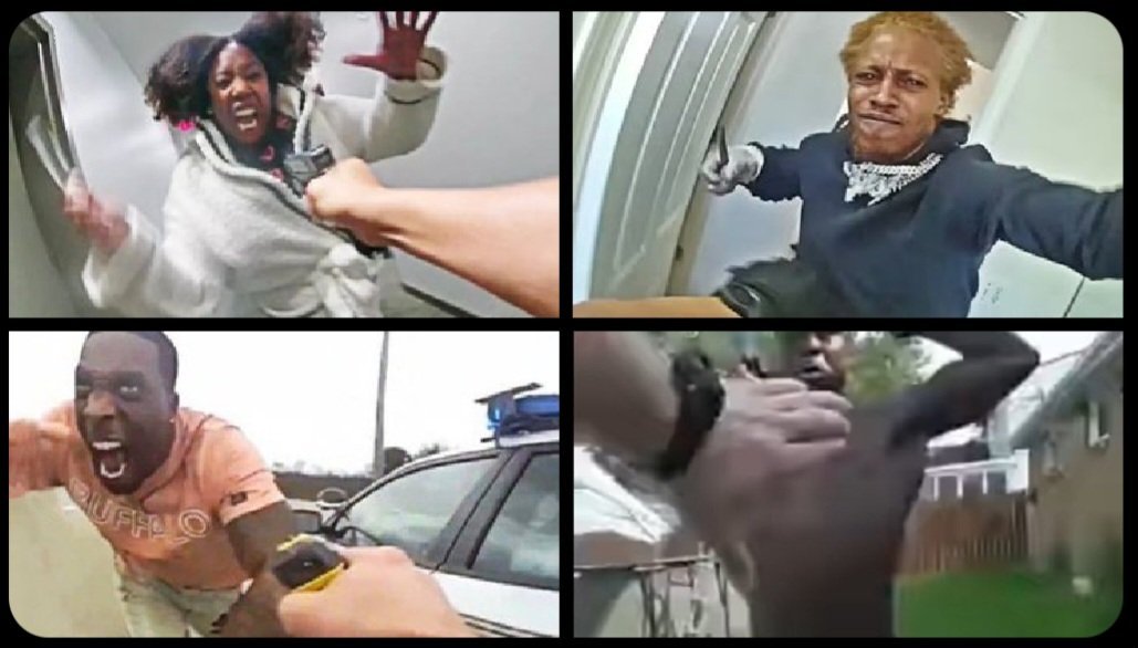 Winged Barnacle tweet media