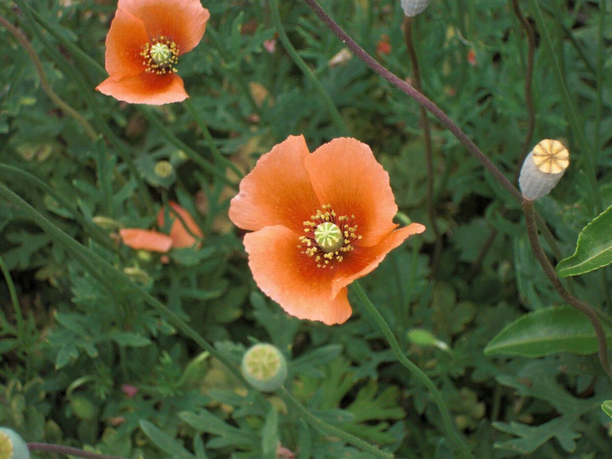 狭山市役所 tweet media