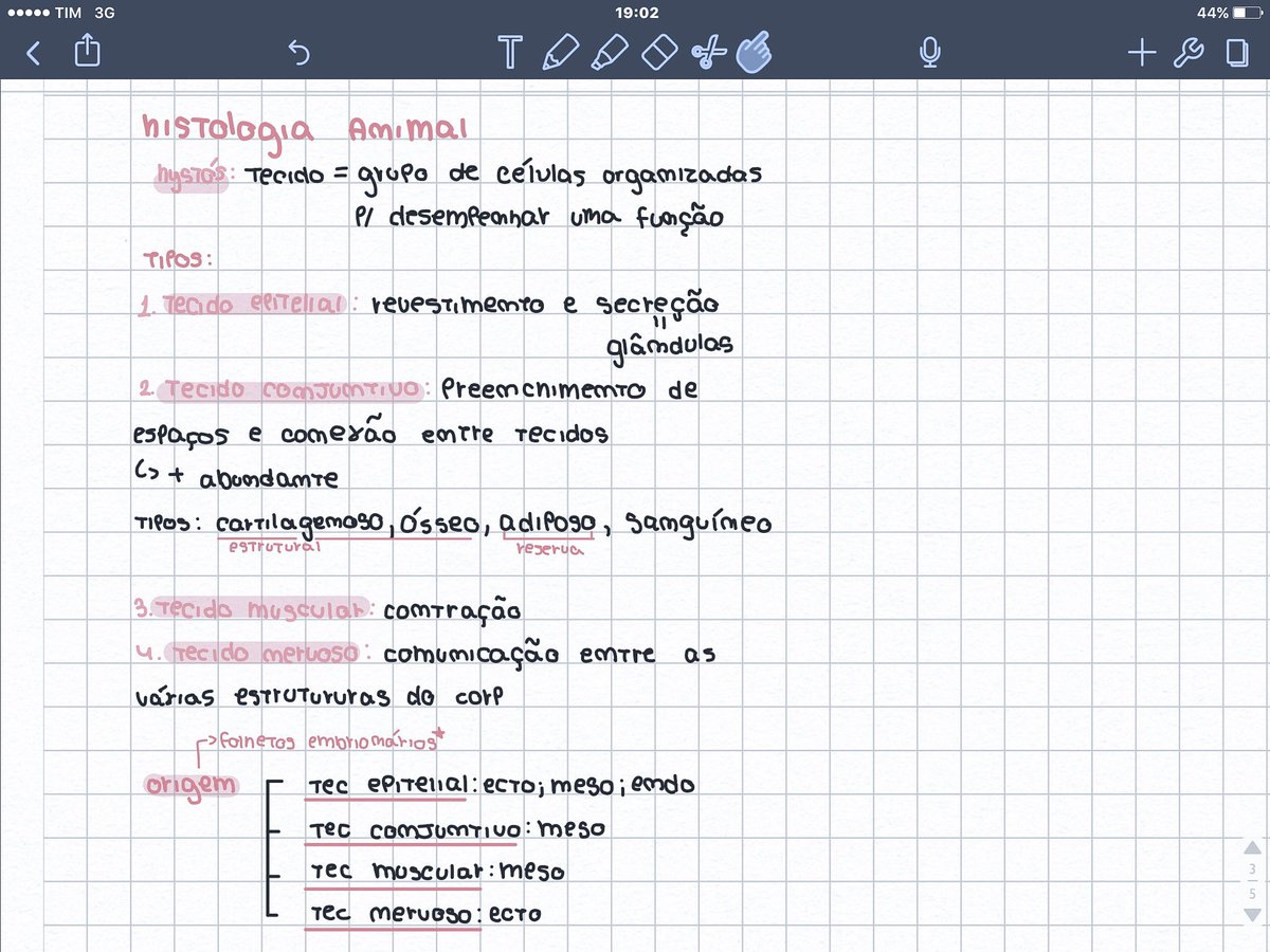 ૮ vivi ა 📖: asoiaf tweet media