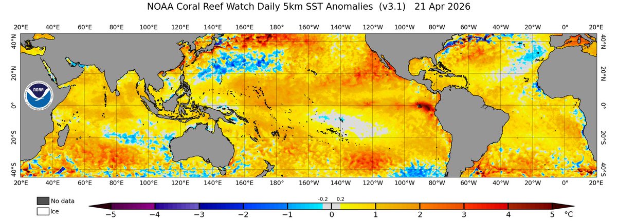 Rush Rush tweet media