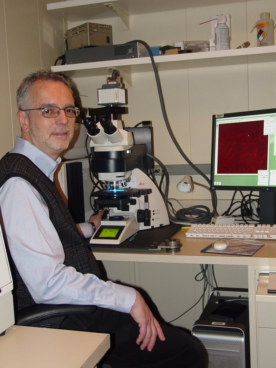 theNASciences's tweet image. Congratulations Rafael D. Camerini-Otero of @NIDDKgov, newly inducted #NASmember! #NAS163 #genetics