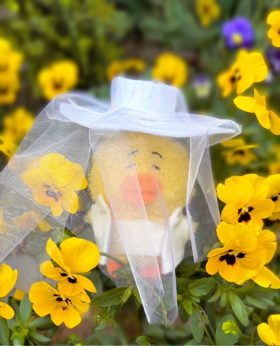 𝐏𝐚𝐫𝐚𝐬𝐢𝐭𝐞 𝐭𝐚𝐞𝐦𝐨𝐫𝐢🐣🤍

꽃밭에서 힐링 중〜🌱🌼✨

#TAEMIN #태민 #TAEMCHELLA