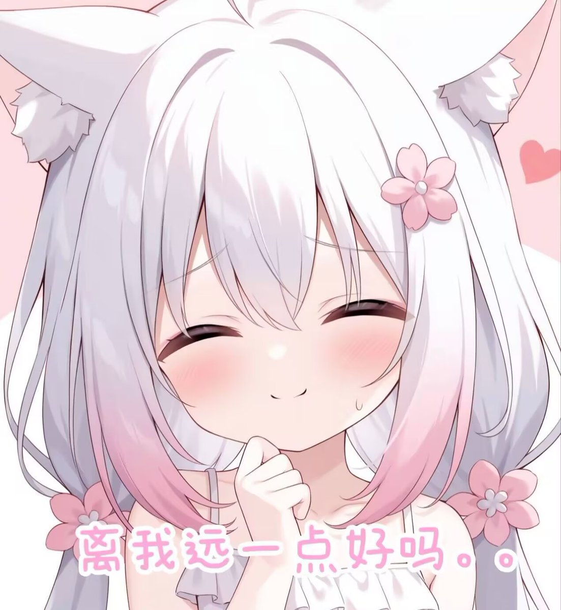 依依依依♡（欢迎私信互推~！） tweet media