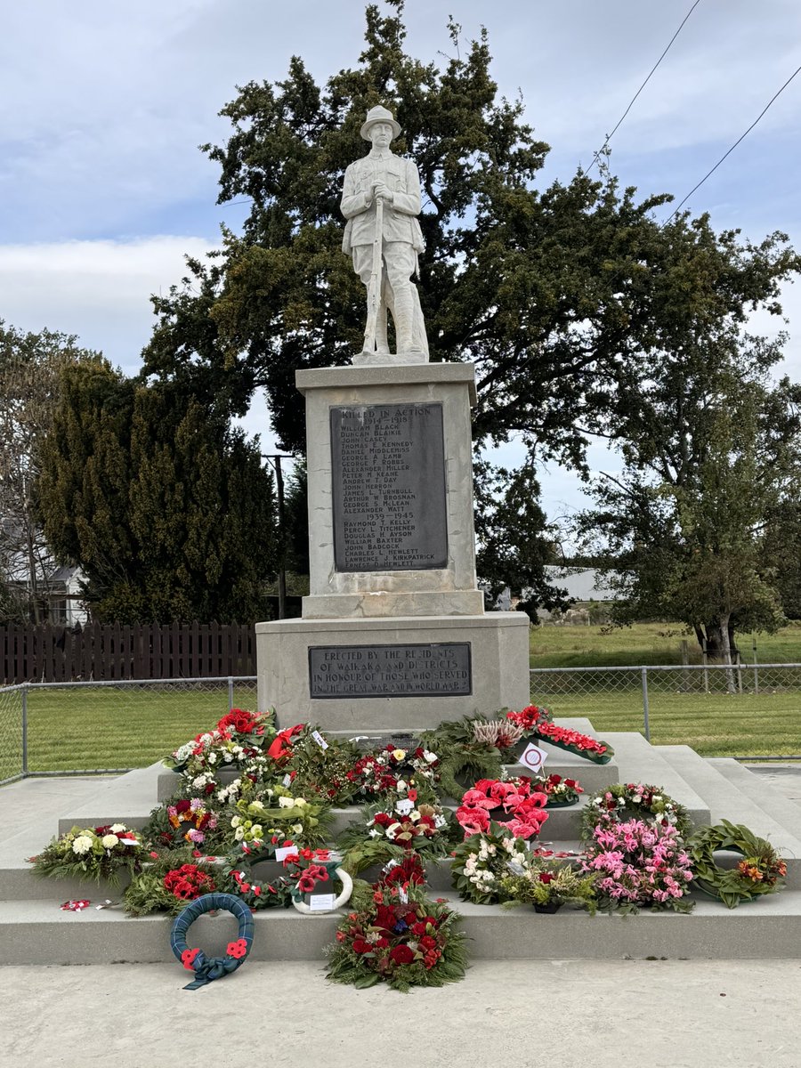 Just a gardener/sheep farmer tweet media