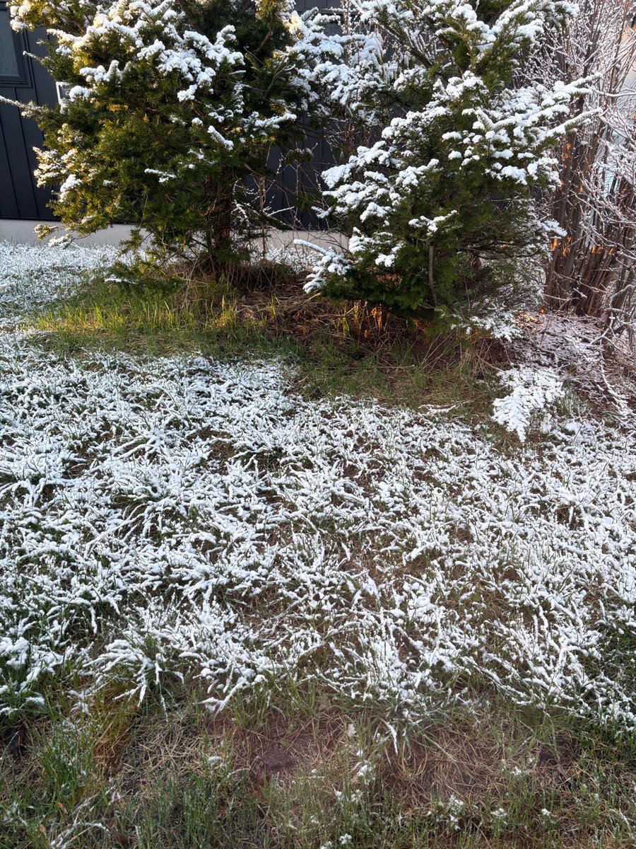 まうんす tweet media