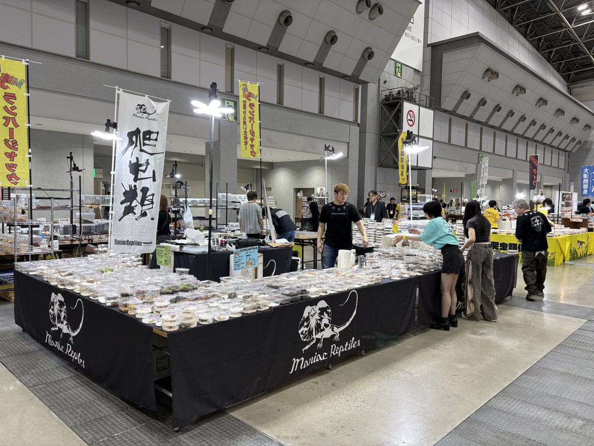 爬虫類ショップ マニレプ スタッフの呟き tweet media