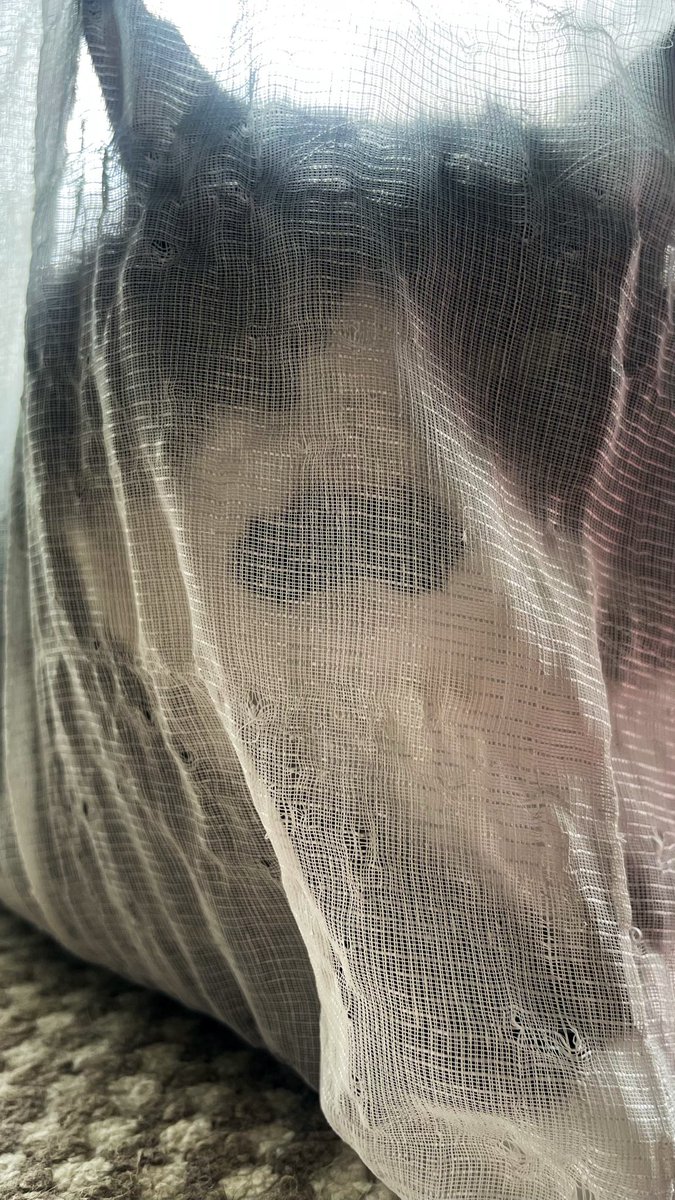 猫教授 tweet media