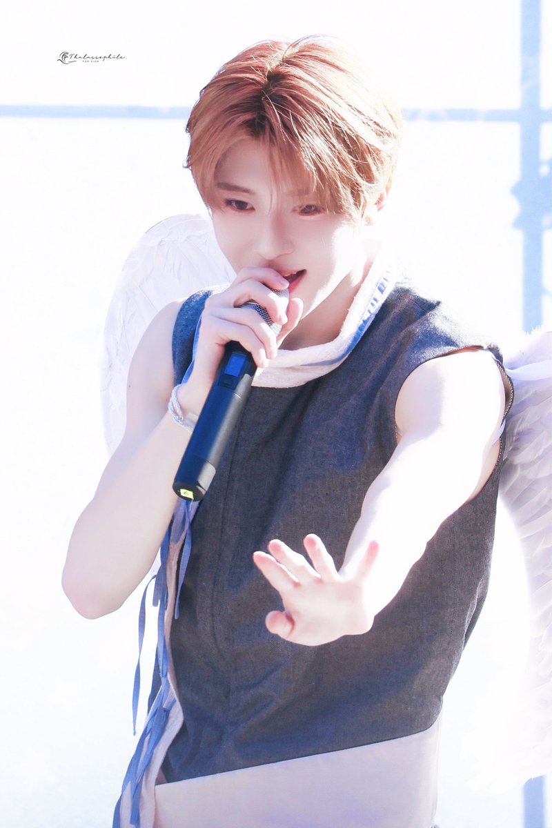 Thalassophile tweet media