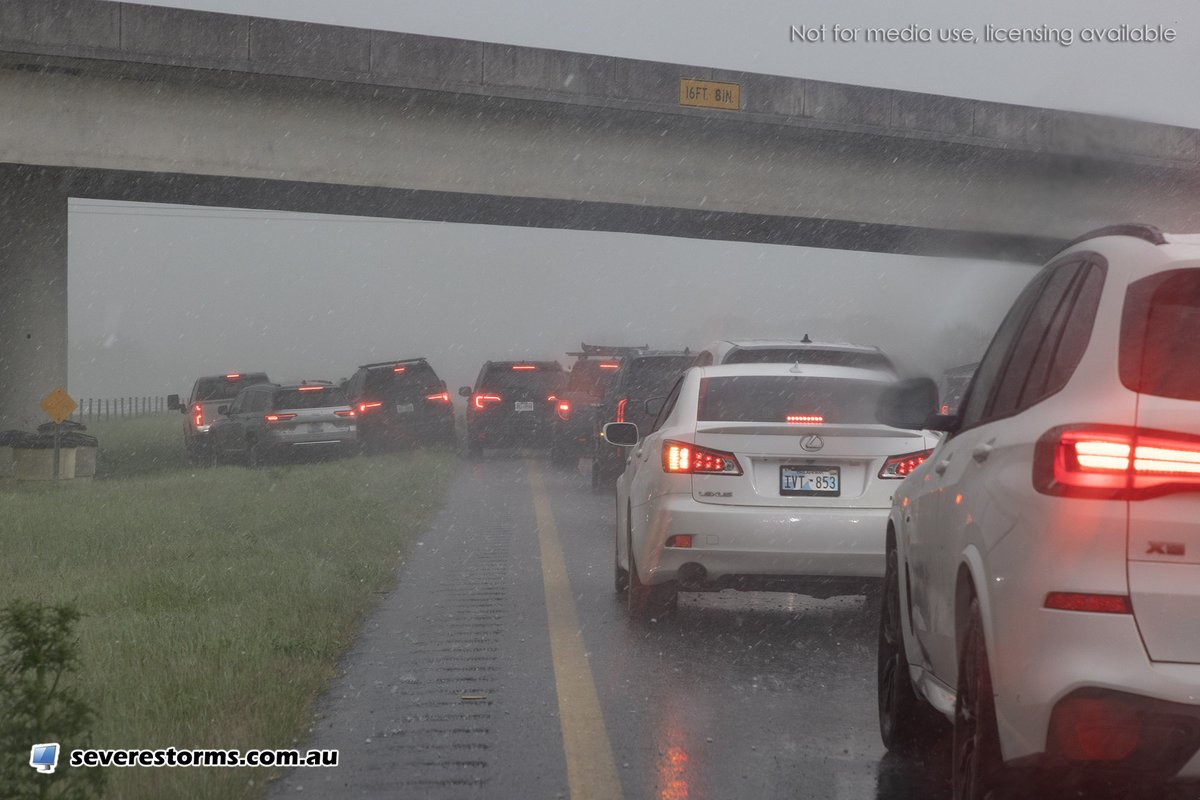 Daniel Shaw tweet media