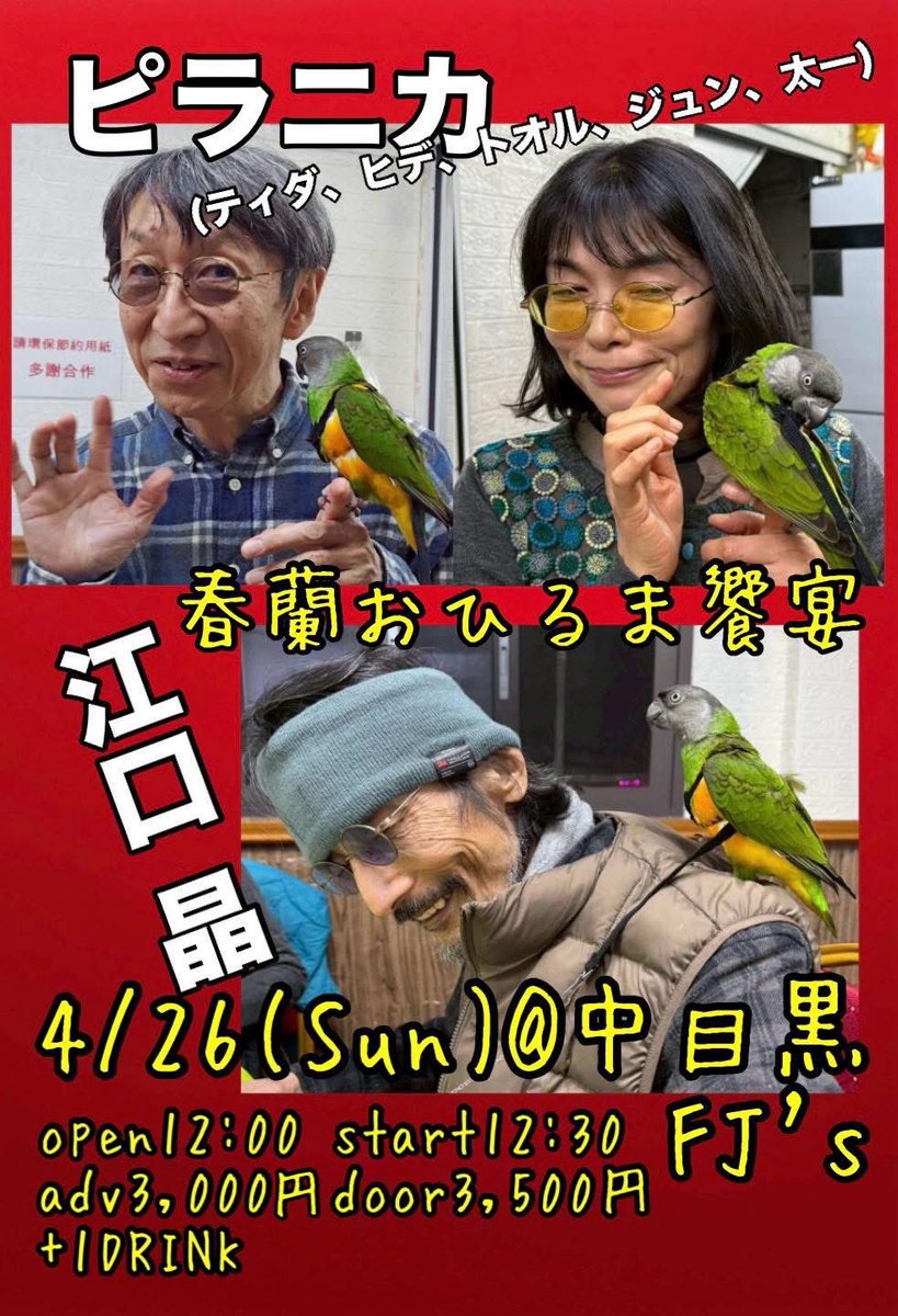 tokyomor's tweet photo. いよいよ明日開催！お見逃しなく！

【TOKYO MOR presents「春蘭おひるま饗宴」】
4月26日(日) 東京都 中目黒 Cafe &amp; Live spot FJ's 
出演:ピラニカ(ティダ、ヒデヒコ、トオル、ジュン、太一) / 江口 晶 
open12:00 start12:30 前売り3000円 当日3500円 共に+1DRINK https://t.co/ziLzBMVlhE