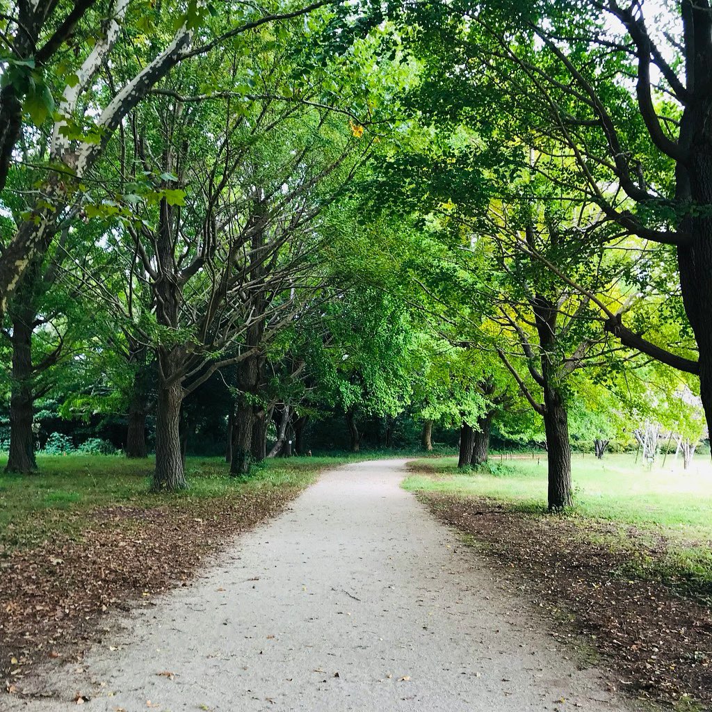 jun_horiguchi's tweet image. 🌳♦︎🌳♦︎ 🌳♦︎🌳♦︎🌳

instagram.com/jun.photo.bw

#photo #bw #モノクロ