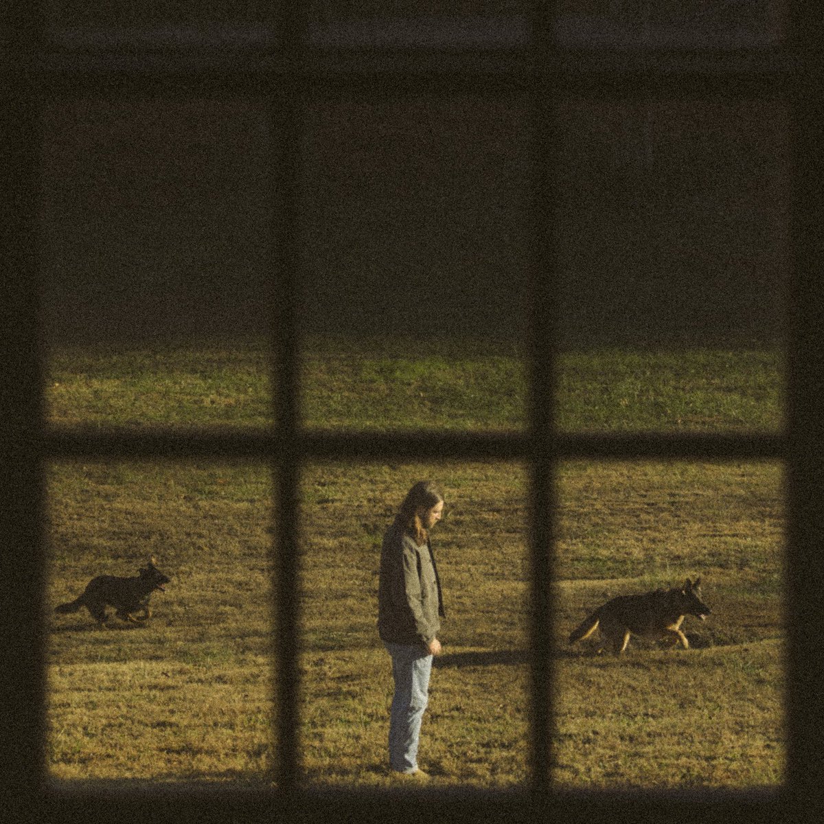 Noah Kahan tweet media