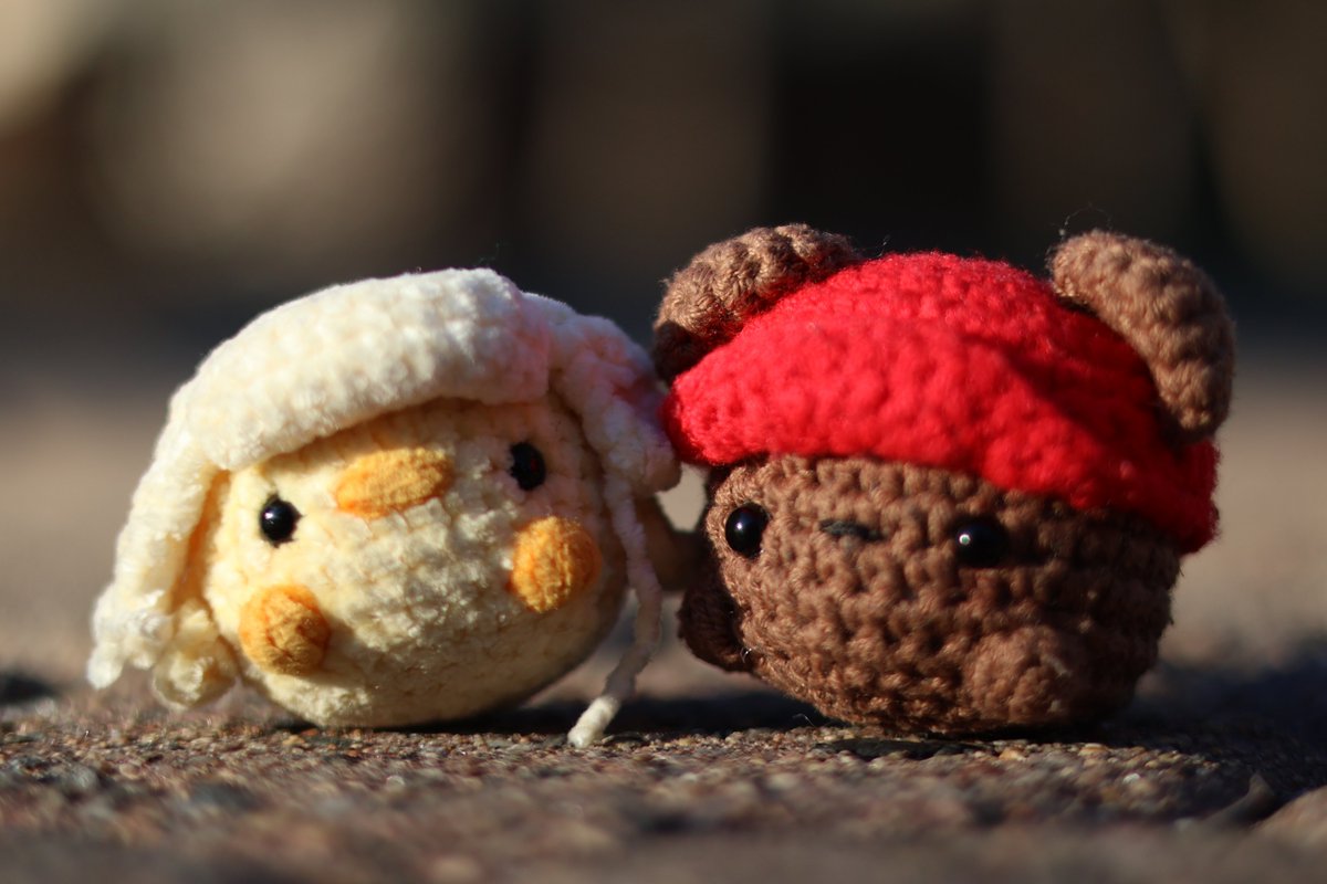 sunnysoulmates's tweet photo. i went on a walk to take photos of spring flowers, but tiny crochet tete and mimi wanted a picture too 😔📸❤️‍🩹 https://t.co/ZpKY5by5hs