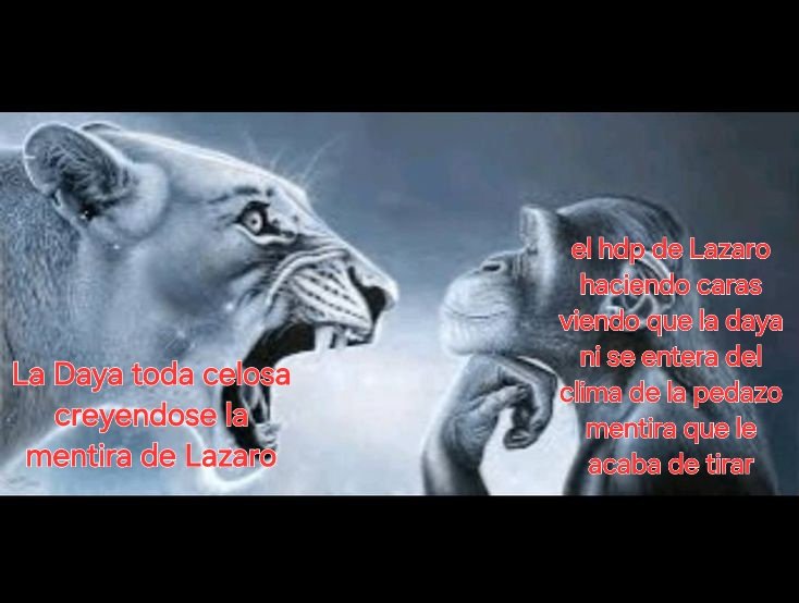 El más frustrado AMIGA DATE CUENTA de la temporada chicas, ni Velo tardo tanto 🫠🫠 #ADOMAspoilers