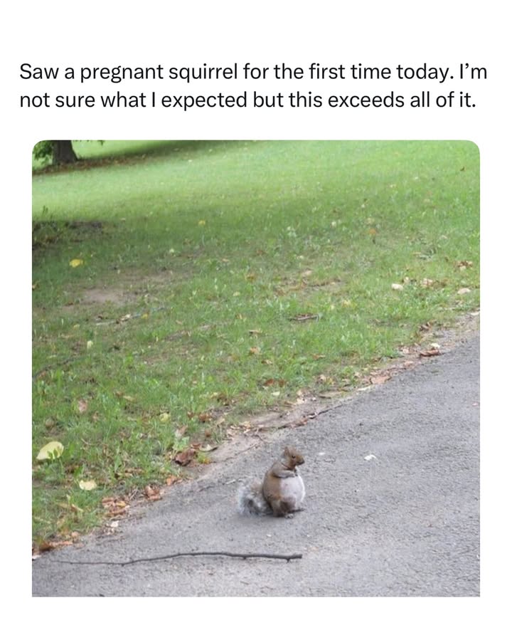 Eric Alper 🎧 tweet media