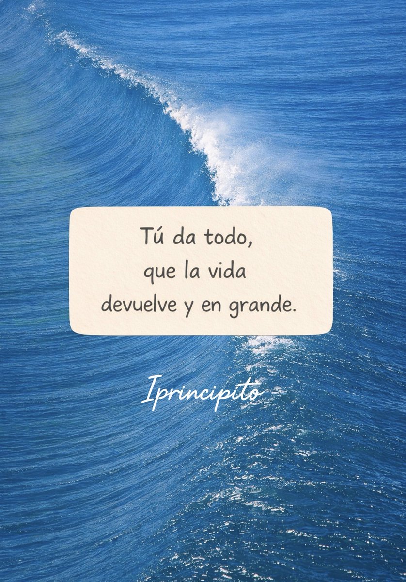 El Principito ✨ tweet media