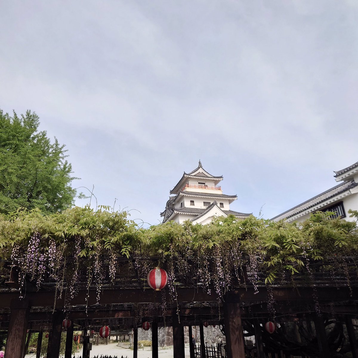 唐津城【公式】 tweet media