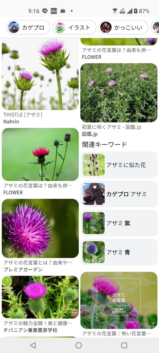 普通に花の名前調べただけなんだけど、ワイのこと学習されてる？