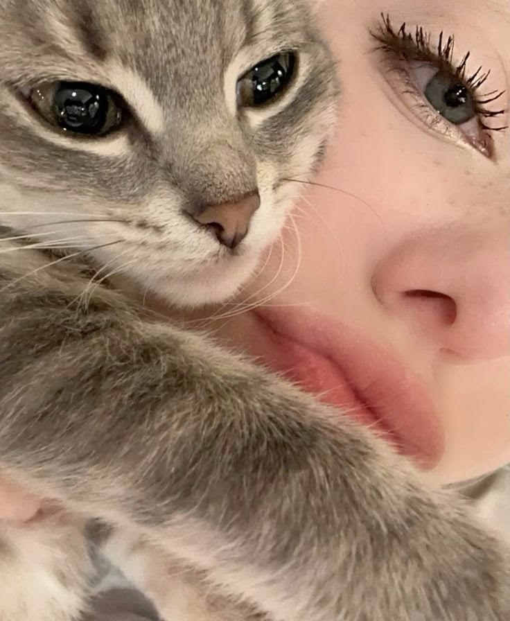 sophkingfunny28's tweet image. ⠀ 
⠀⠀ ᅠ   

ᅠᅠ           ⠀!̶⠀⠀#post.
         ㅤ       ﹢ 𝗜𝗡𝗦𝗧𝗔𝗚𝗥𝗔𝗠 . . .
Dormimos 3 hrs y seguimos con sueño...

                #FreeRol   ↴   #Fakeland