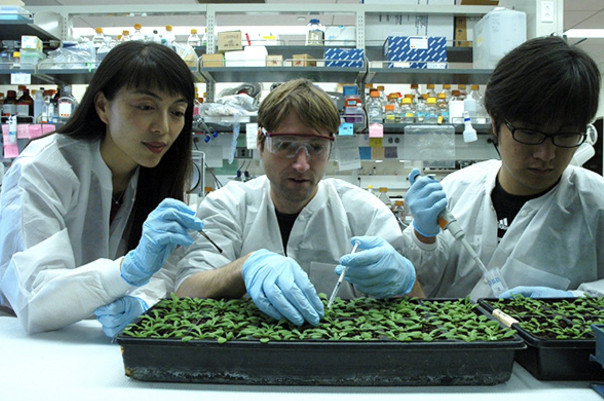 theNASciences's tweet image. Congratulations Hailing Jin of @UCRiverside, newly inducted #NASmember! #NAS163 #microbiology #plantbiology