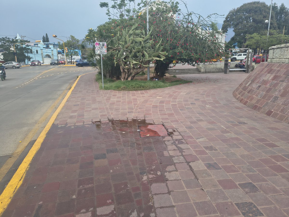 Ulises Mora tweet media