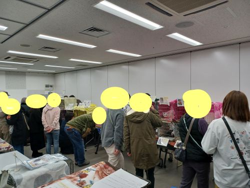 イコール保護猫譲渡会【５/２３（土）１４:００〜１６:００ 市川市 行徳文化ホールＩ＆Ｉ 第１会議室 tweet media