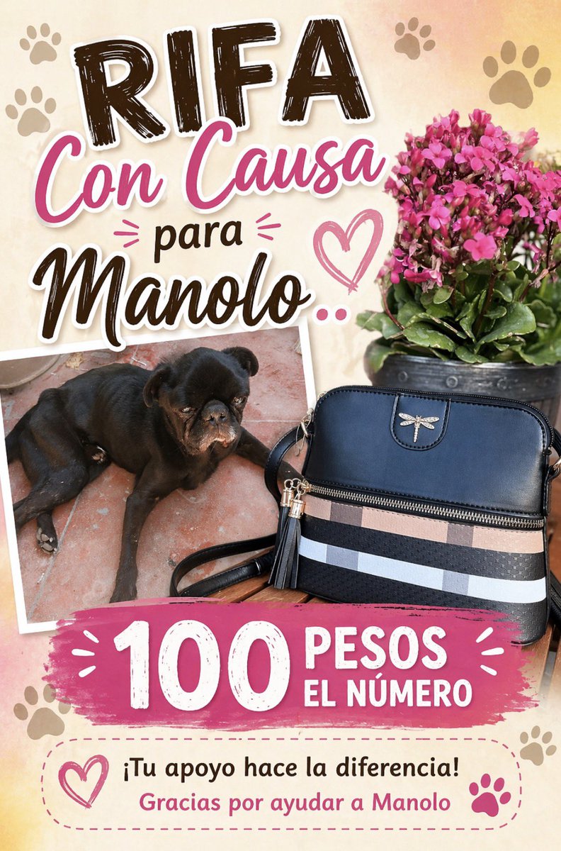 Gina..🌷 tweet media