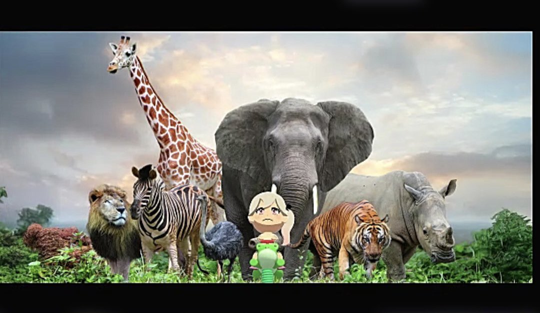 七海みんと tweet media