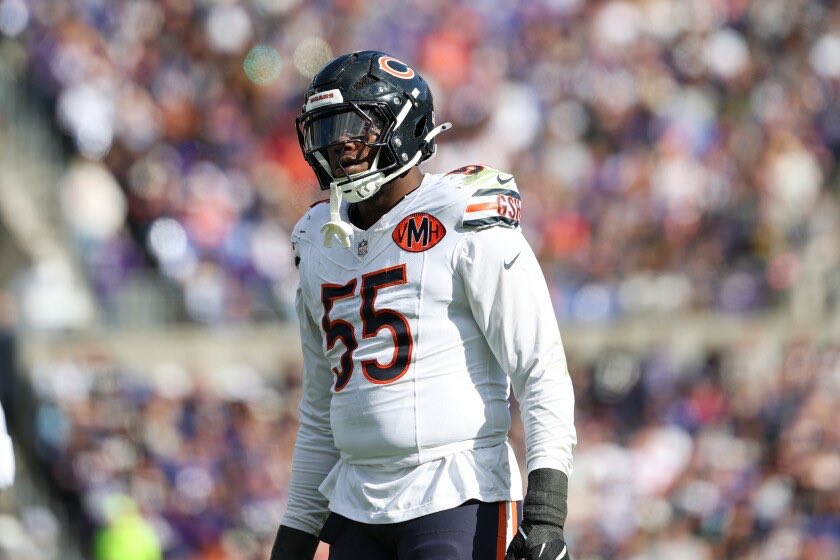 Bears Nation tweet media