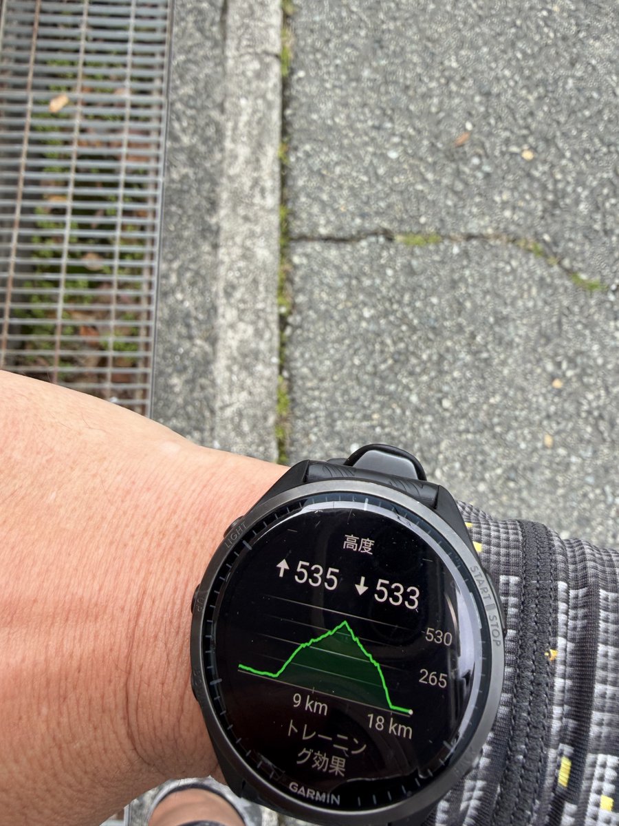 だんでーとうちゃん tweet media