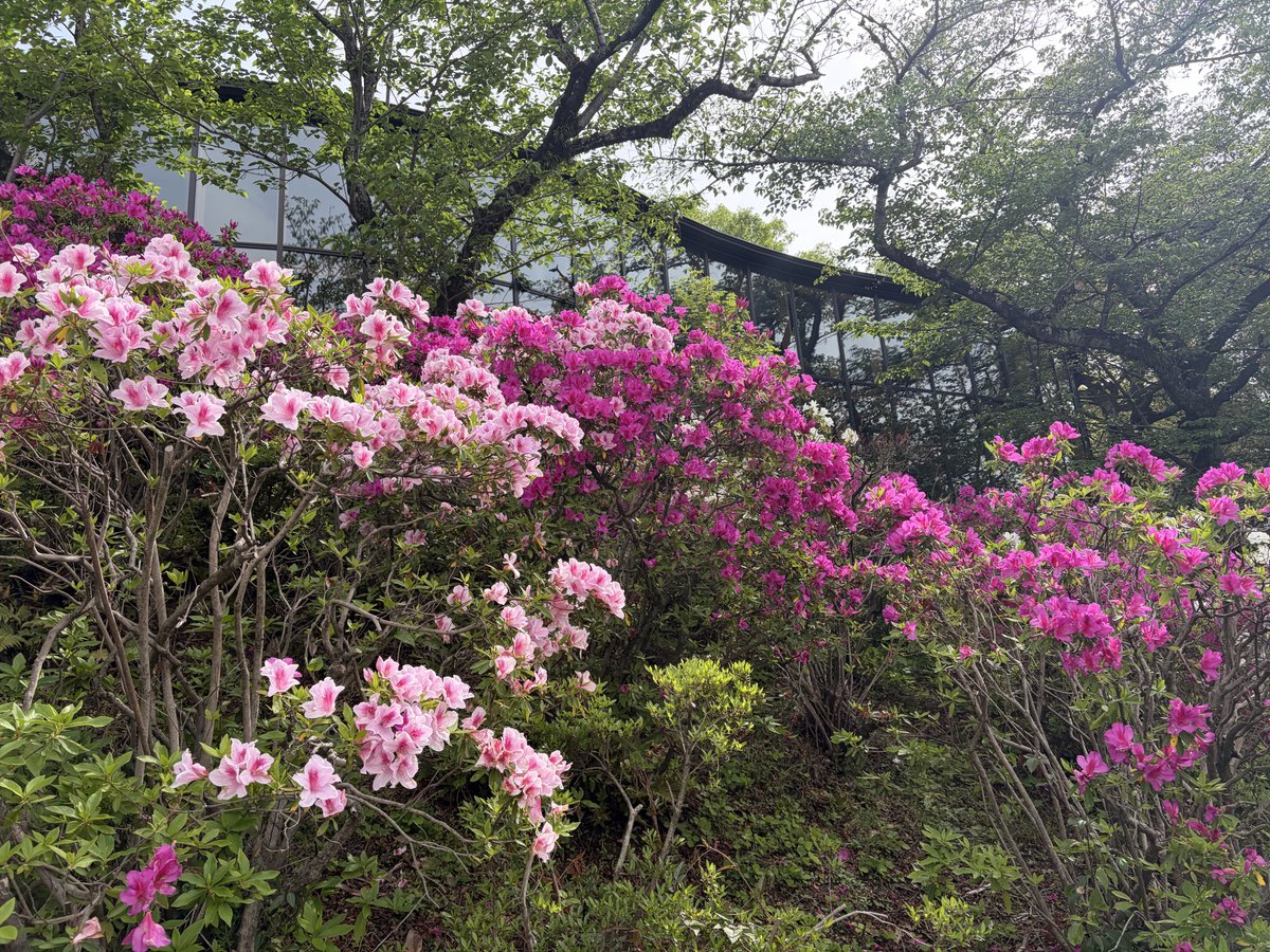 だんでーとうちゃん tweet media