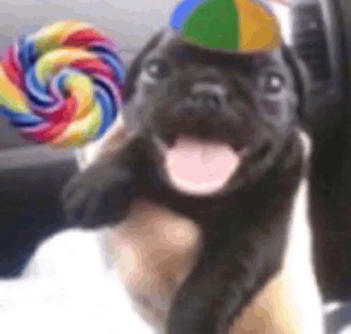 to jantando lasanha congelada com nuggets e to me sentindo assim 👇🏻