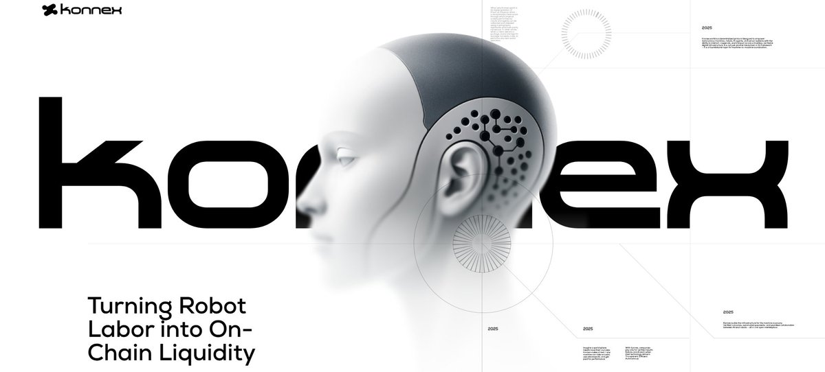 Danigorlo 🪂🟦 Web3 Alpha tweet media