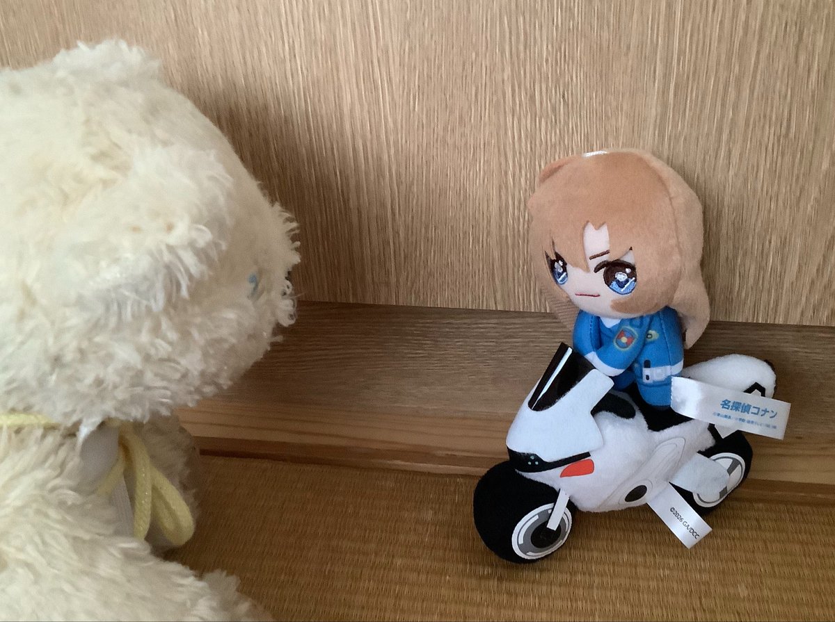 🏍️🪽✨✨

🌿🐻‍❄️おねえさまや！！！