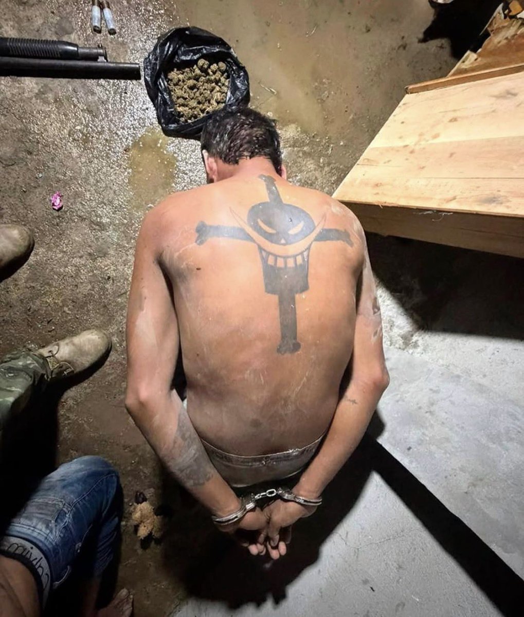 ¡mariana! tweet media