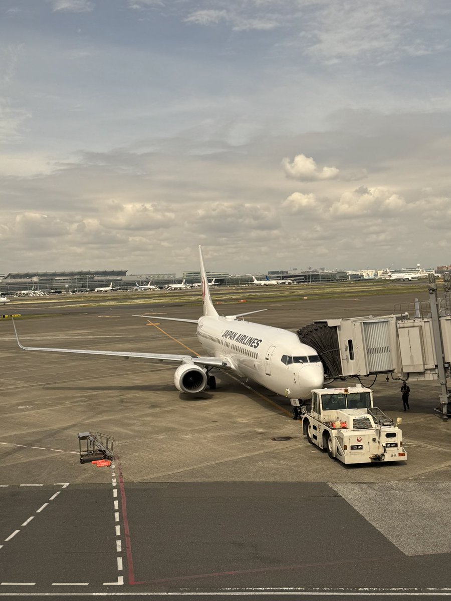 UBP48111774's tweet image. 羽田空港が好きです❤️
#HND 
#羽田空港