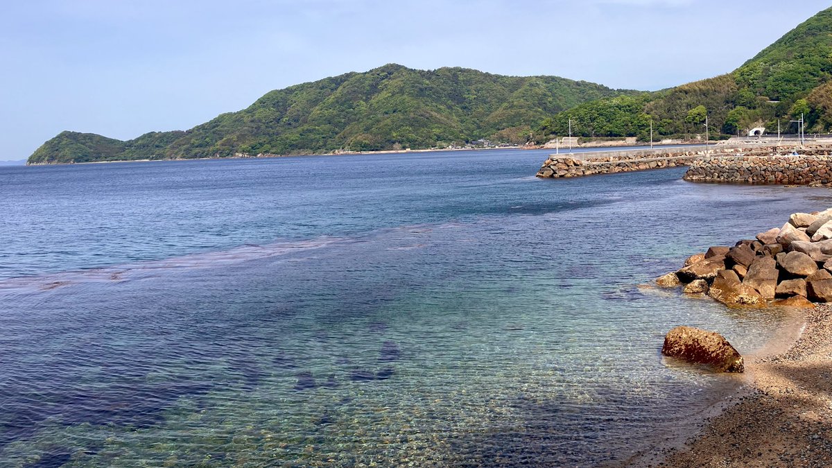 尾畑ばたお tweet media