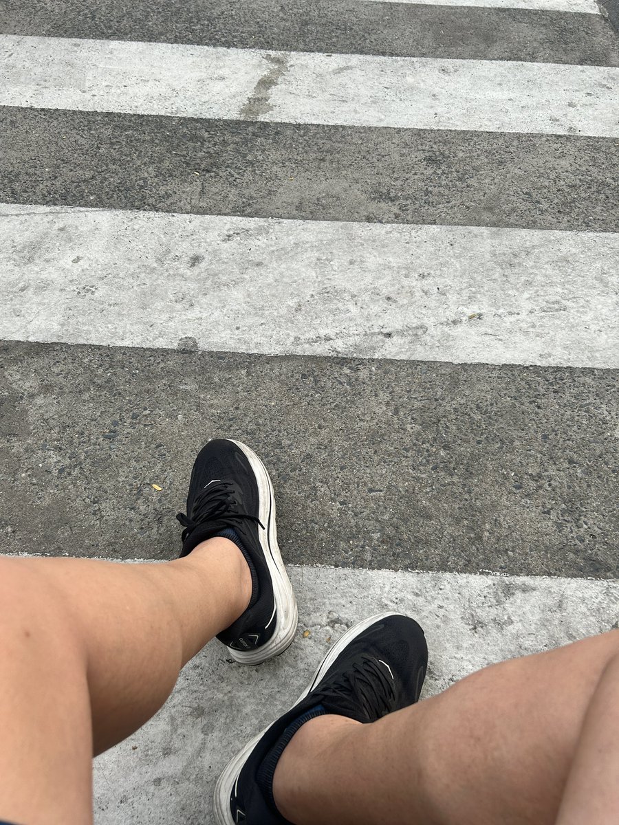 モチ(Ver.4) tweet media