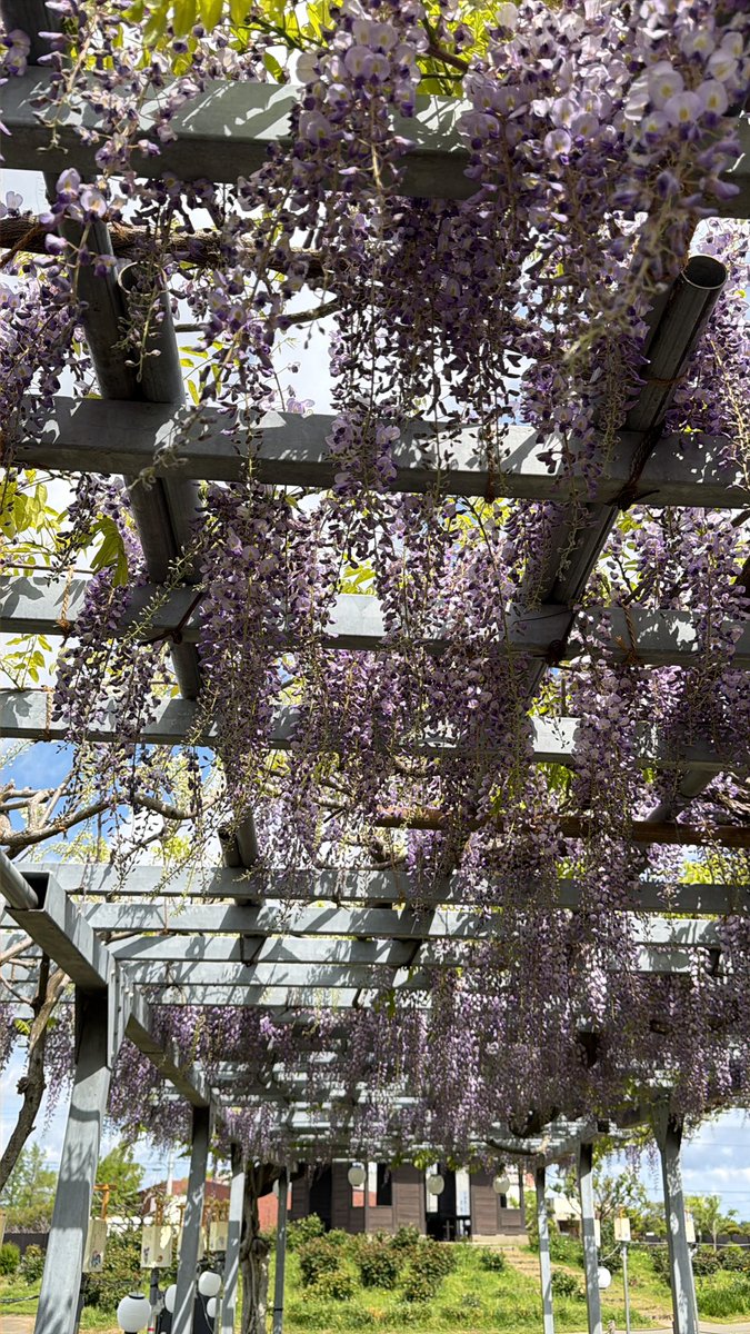 しんじ tweet media