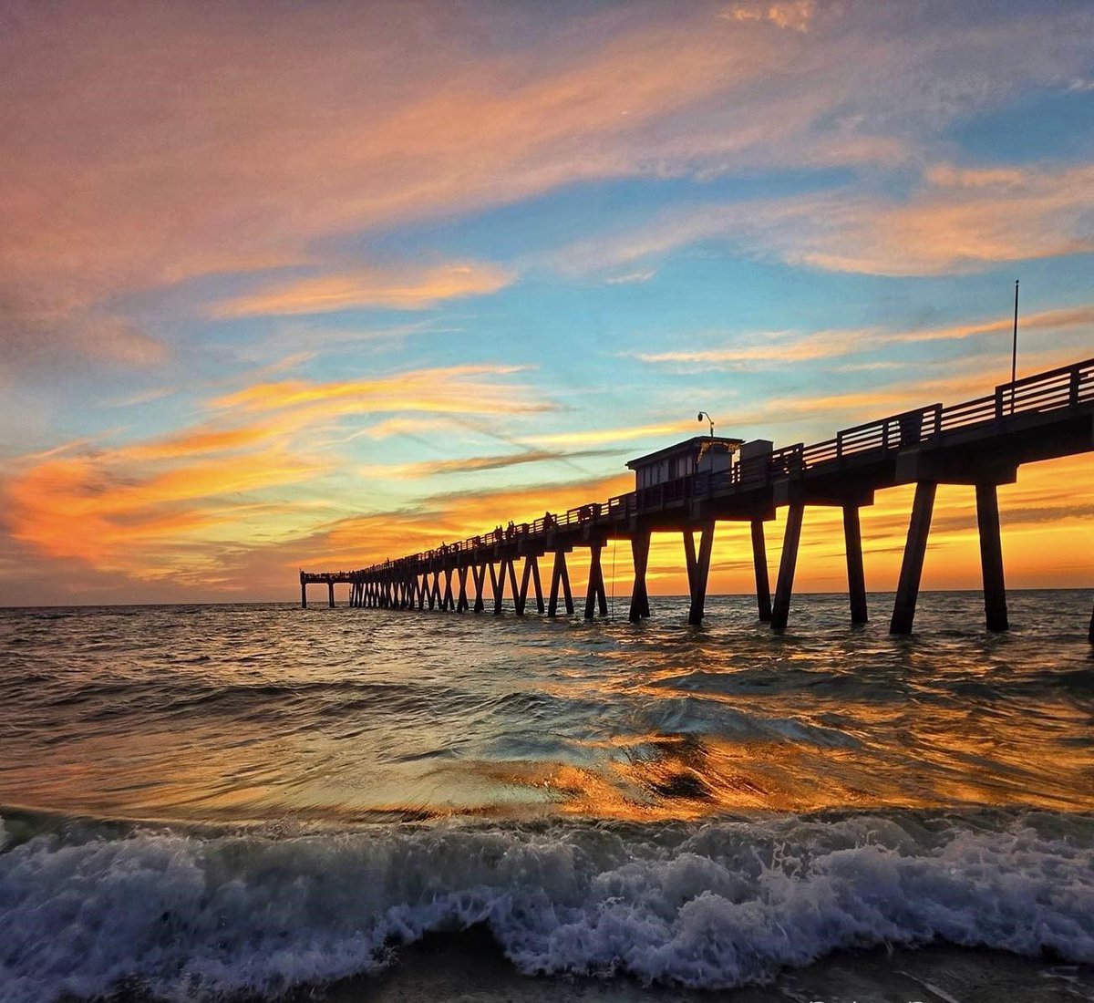 AmericaReal tweet media