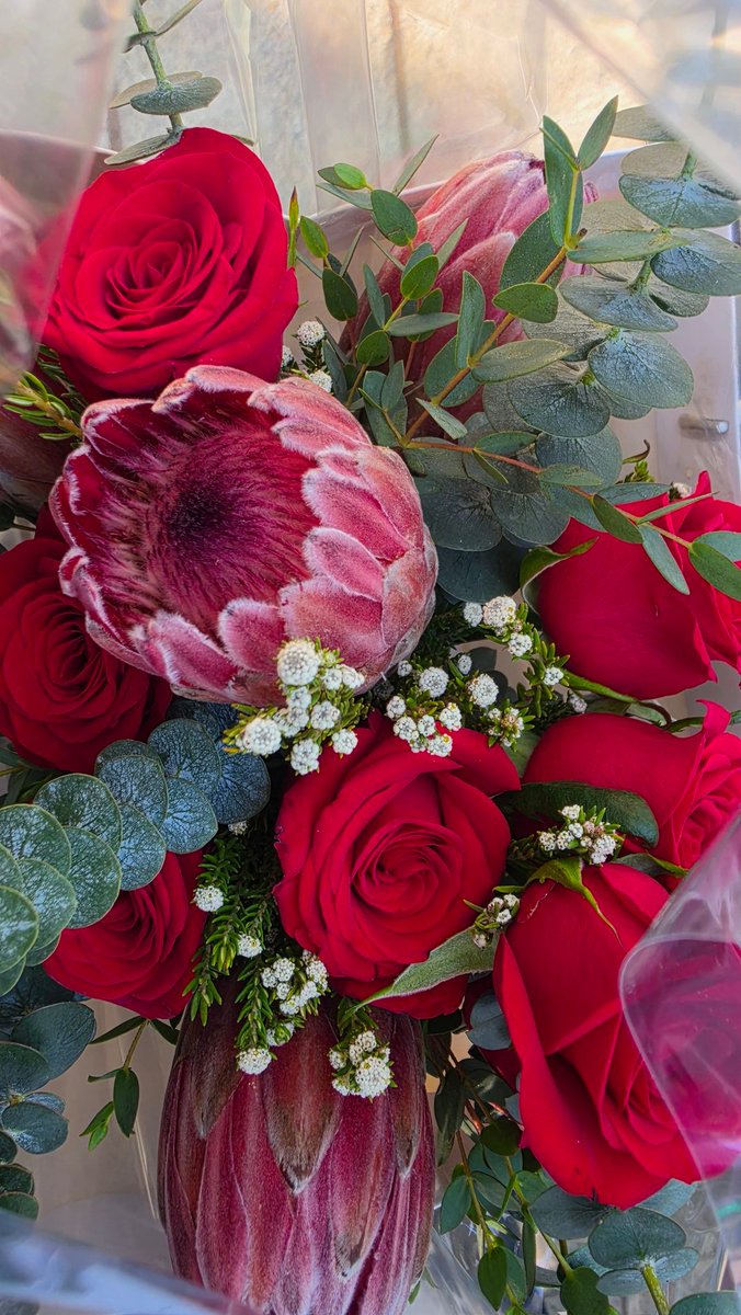 T-10(4디페월슨노조)미호 tweet media