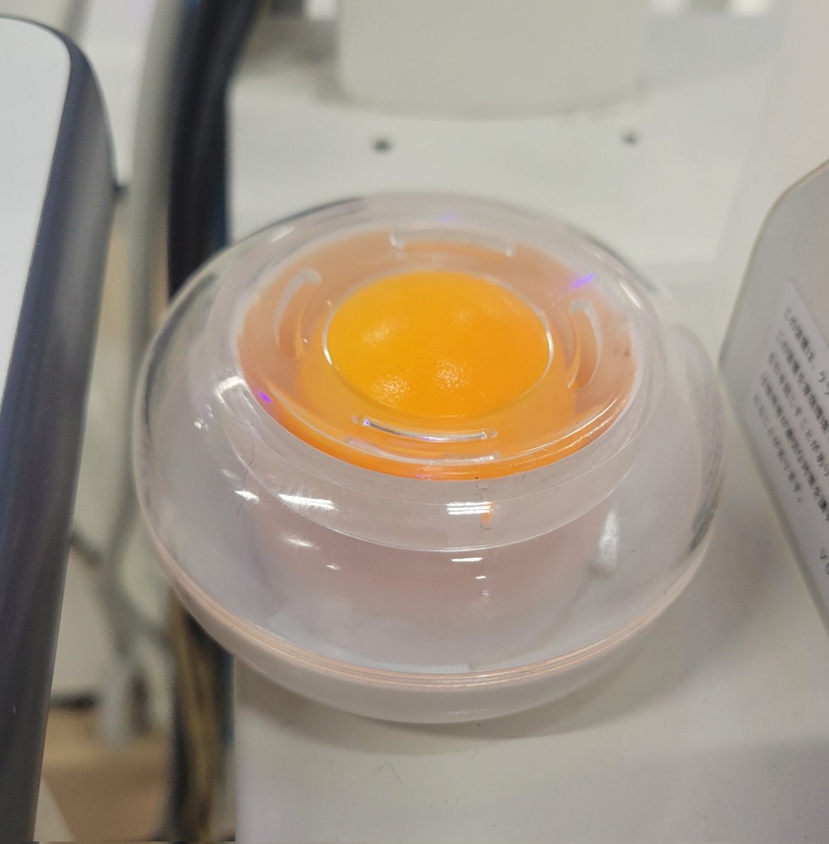 三苫の美味とまのんびりなんて言ってらんねぇゼ tweet media