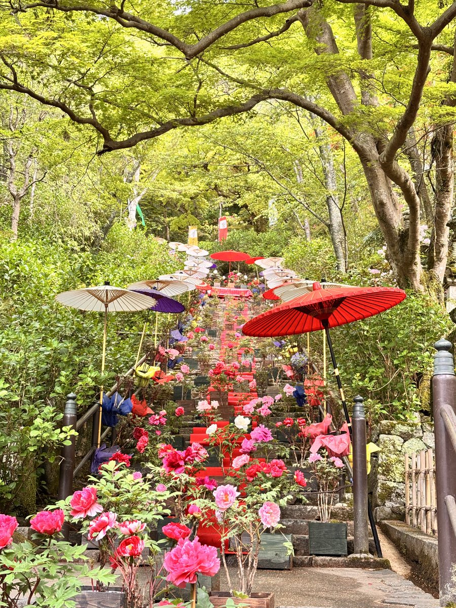 ずぼらじん tweet media