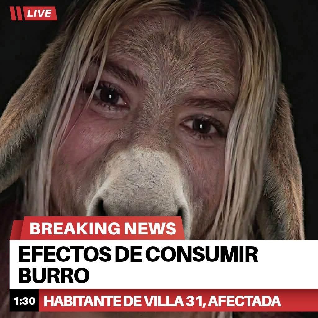 𝐍𝗼𝐞́ 𝐆𝗼́𝗺𝐞𝐳 tweet media