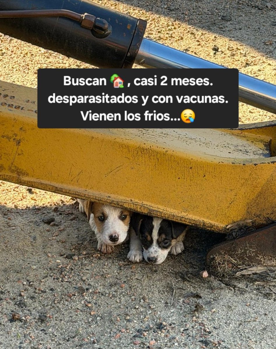 Me ayudan a compartir? 🙏🏼
